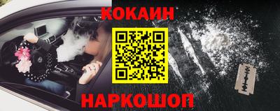 индика Брянск