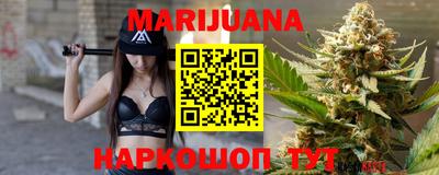 индика Брянск