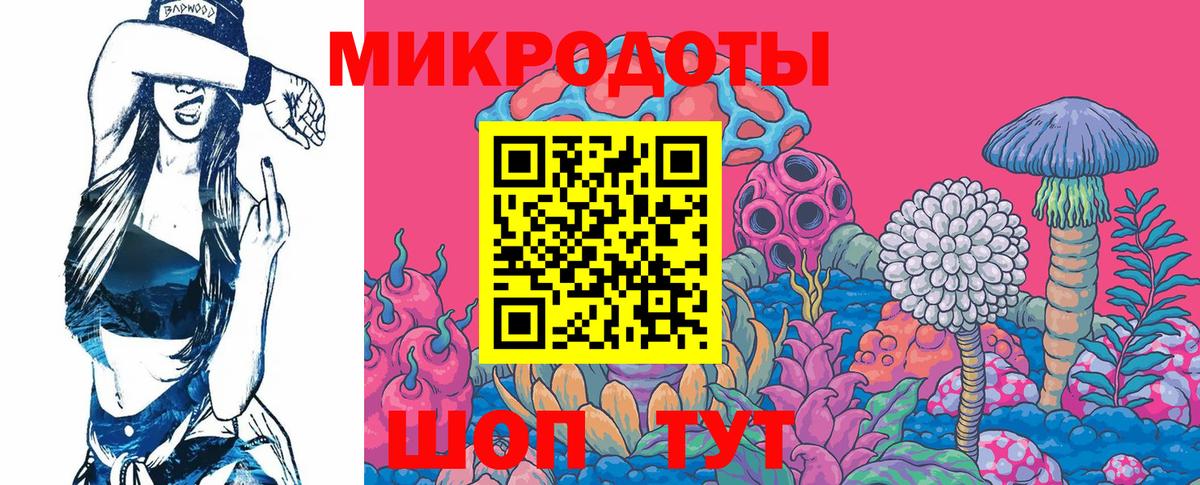 Галлюциногенные грибы Psilocybe Борисоглебск