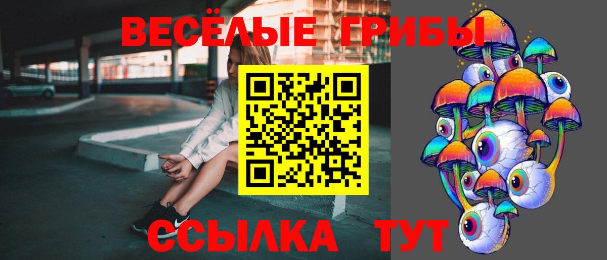 Псилоцибиновые грибы Psilocybe  Вход с VPN  Борисоглебск 